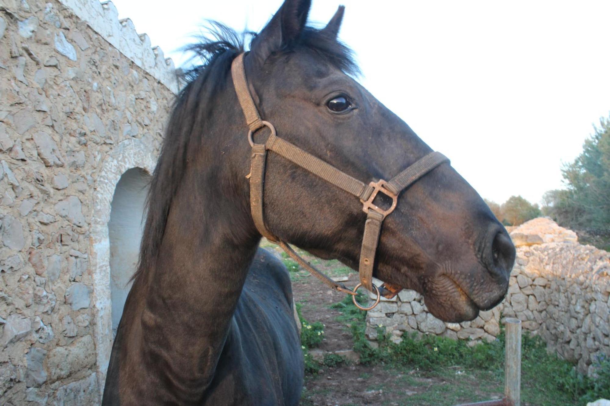 Agroturismo Santa Mariana Alaior Zewnętrze zdjęcie