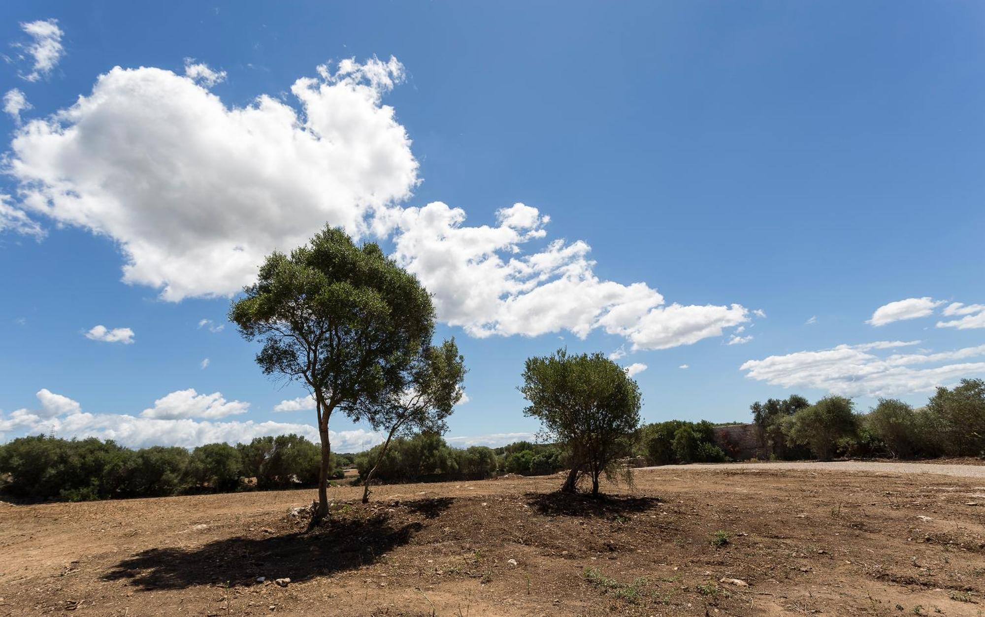 Agroturismo Santa Mariana Alaior Zewnętrze zdjęcie